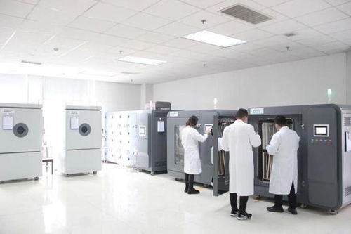 臨沂檢驗(yàn)檢測(cè)中心相關(guān)木業(yè)行業(yè)入選優(yōu)秀案例