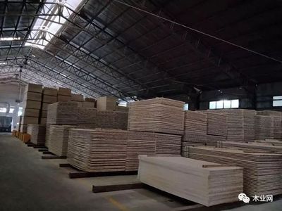 【專訪】福廣源李放兵:品牌發展三部曲 實現高質量發展