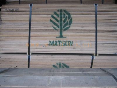 北美木材-天津巨光木業