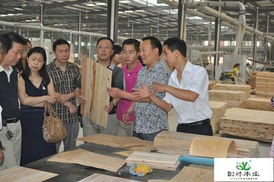 樂山國林家居用品招聘信息_公司前景_規模_待遇怎么樣