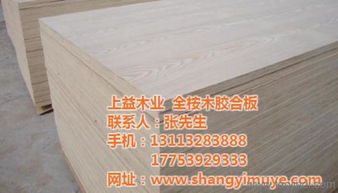 福田膠合板 全樺木膠合板價(jià)格 上益木業(yè) 優(yōu)質(zhì)商家